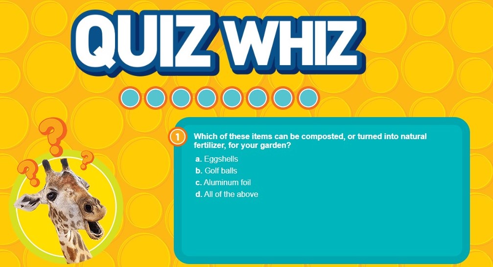 Quiz whiz